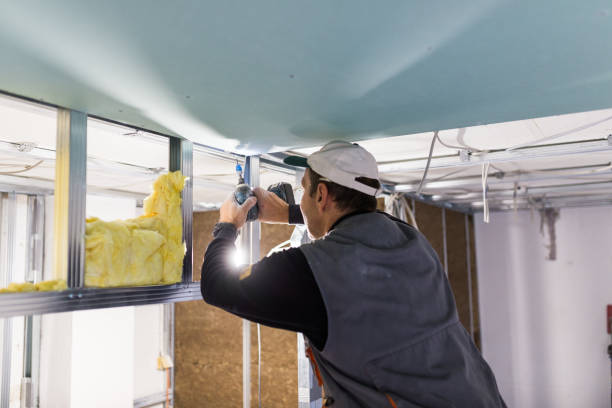 Types of Insulation We Offer in Funny River, AK